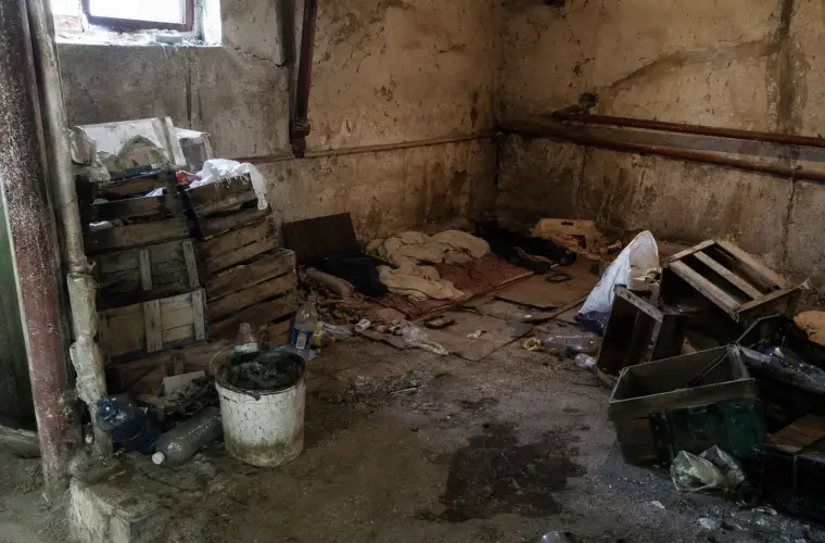 Почистване след синдром на Диоген