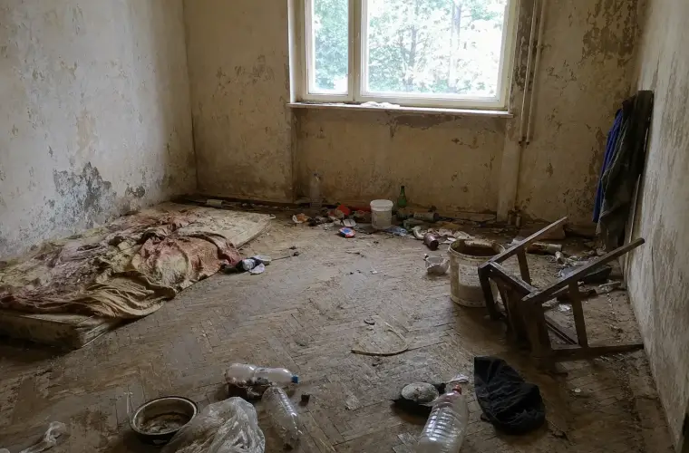 Почистване след синдром на Диоген