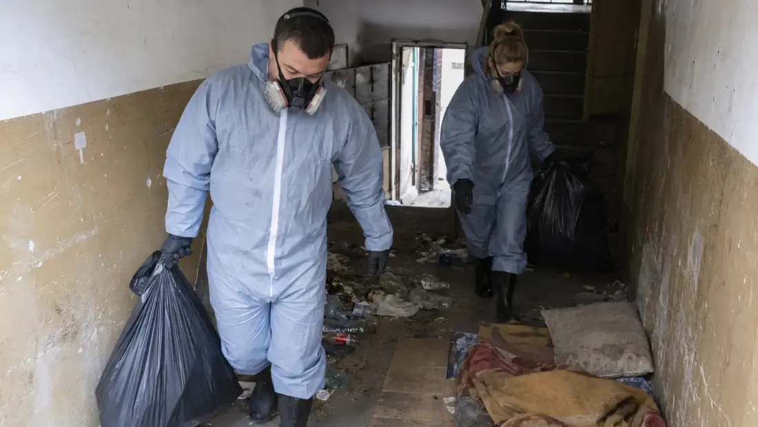 Почистване след синдром на Диоген